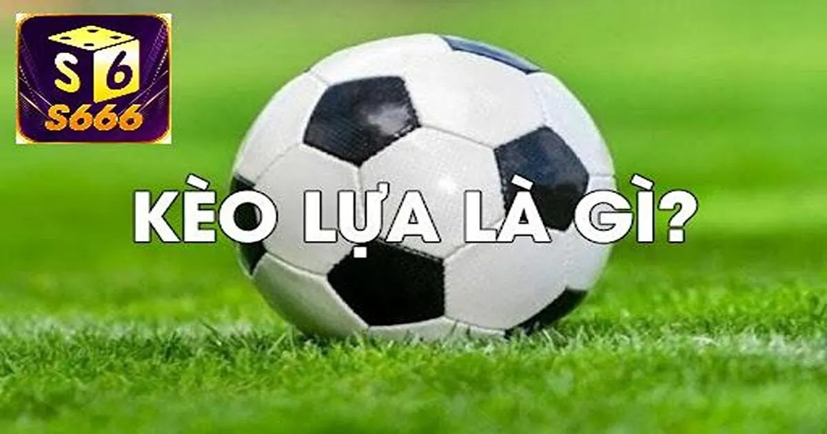 Cách tính tỷ lệ đổi thưởng của kèo lựa