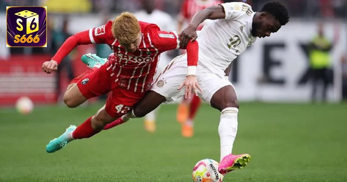 Kinh nghiệm soi kèo bundesliga hiệu quả, chính xác