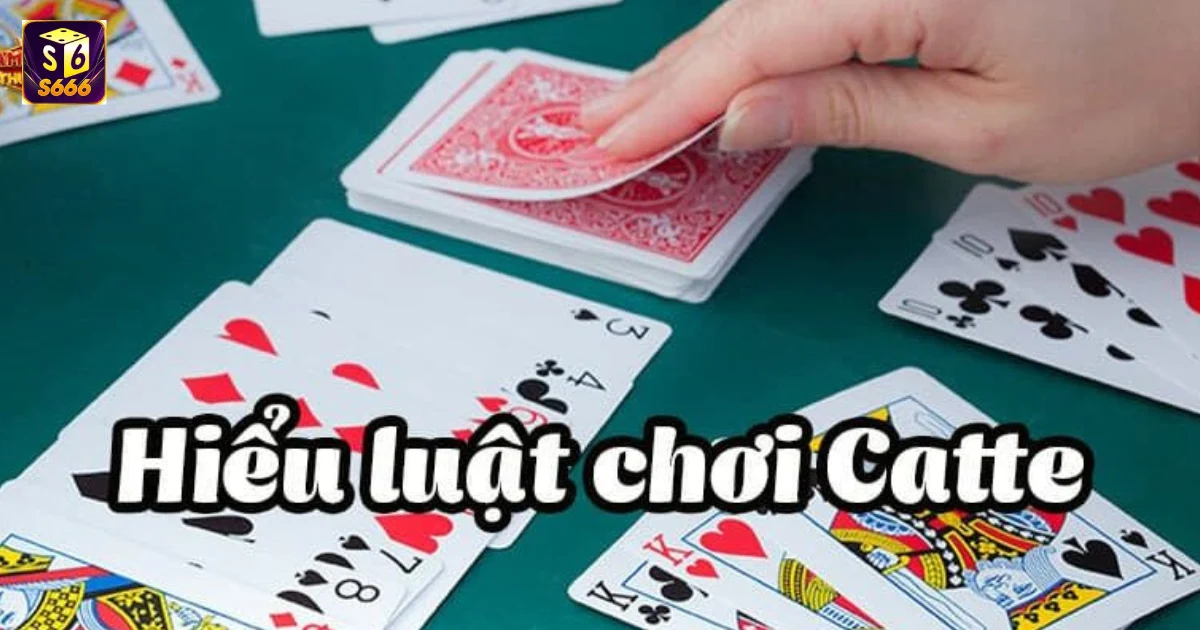 Nguyên Tắc Cơ Bản Trong Cách Chơi Bài Catte S666