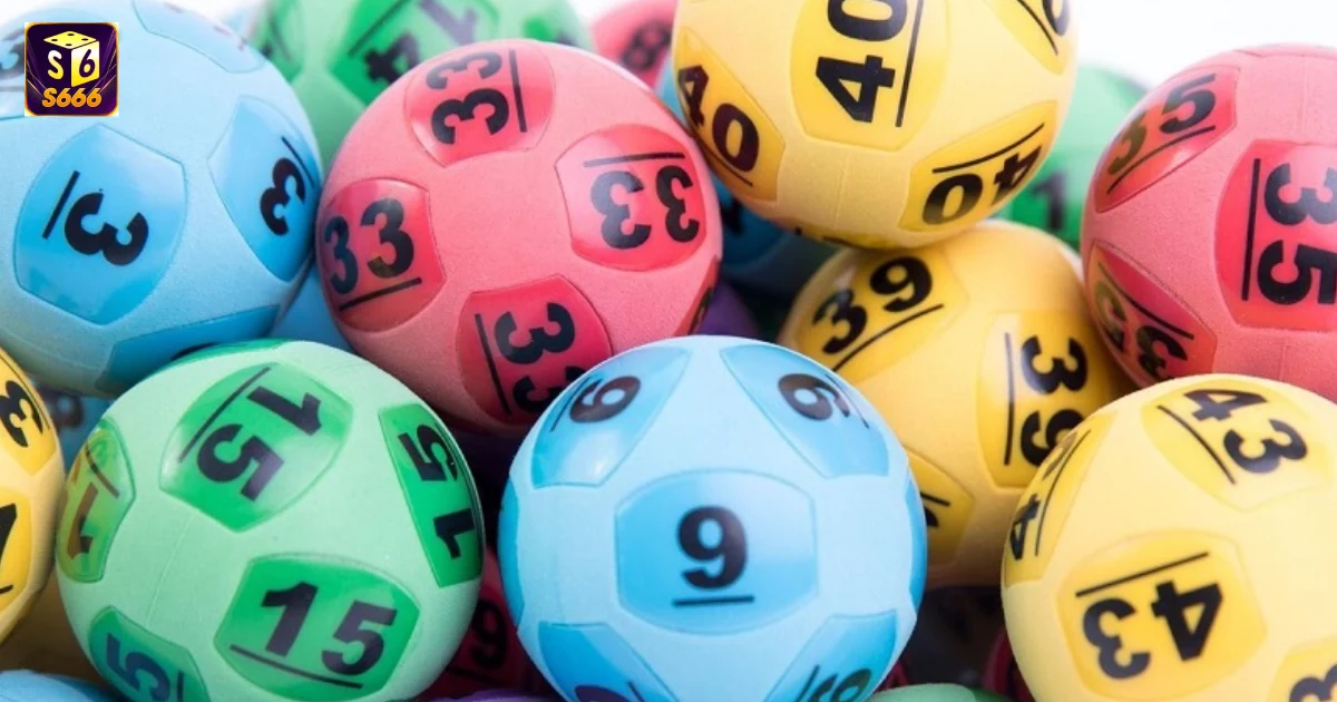 Song Thủ Lô Là Gì? So Sánh Giữa Song Thủ Lô Và Bạch Thủ Lô