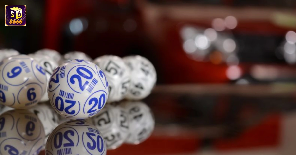 Bạch thủ lô là gì? Cách chơi